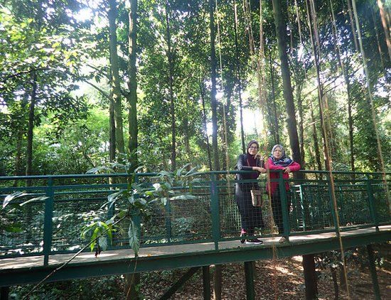 Forest Walk Babakan Siliwangi